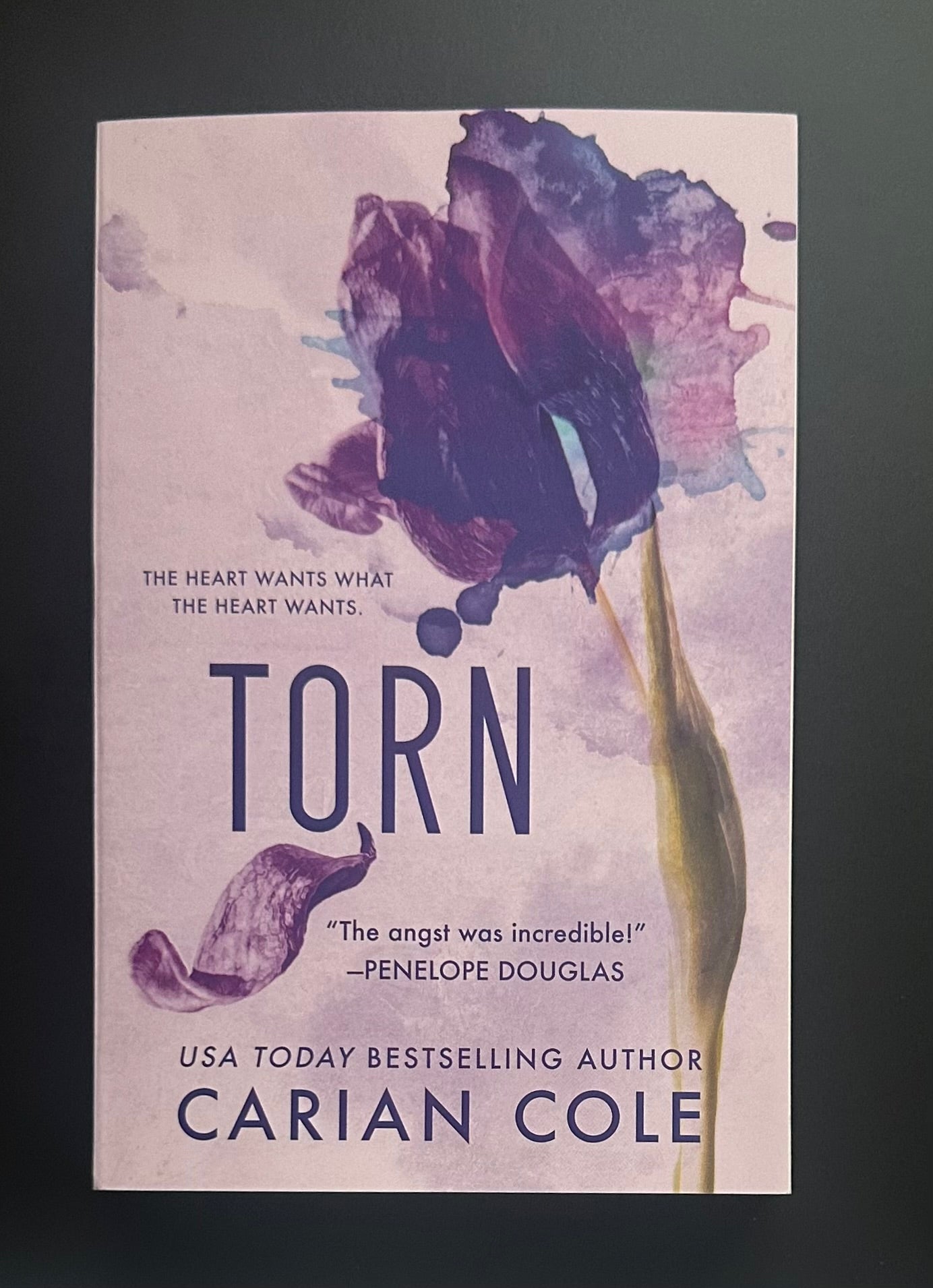 All Torn Up Series