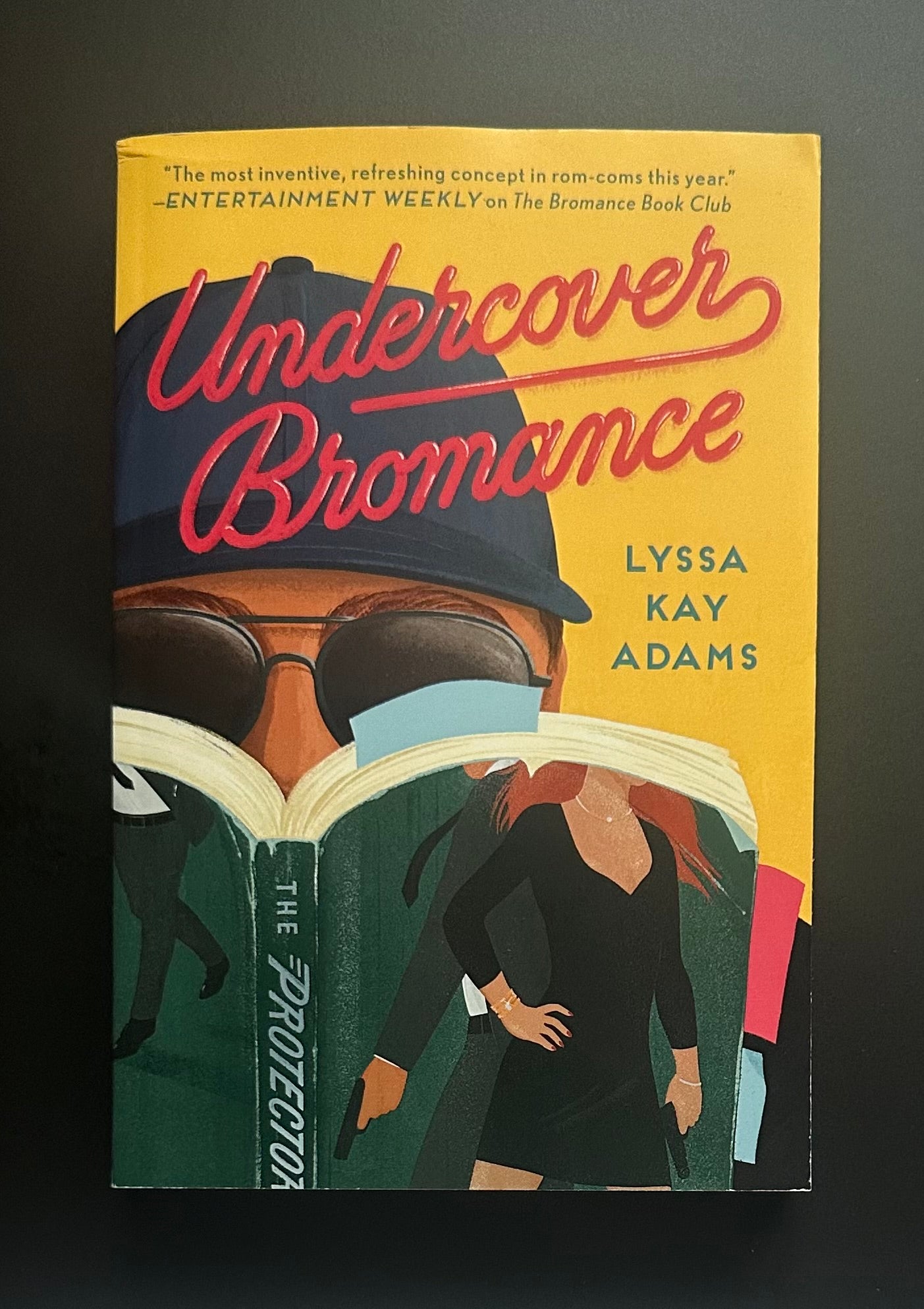 Bromance Book Club Series